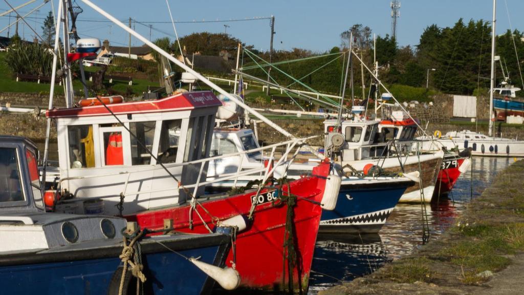 Harbour House B&B Courtown Zewnętrze zdjęcie