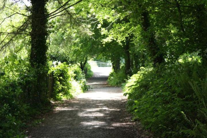 Harbour House B&B Courtown Zewnętrze zdjęcie