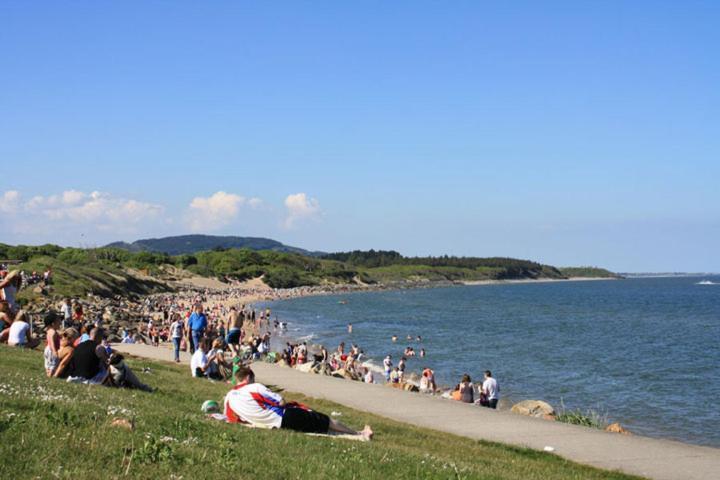 Harbour House B&B Courtown Zewnętrze zdjęcie